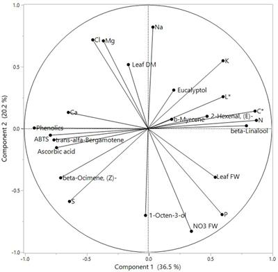 Differential Response to NaCl Osmotic Stress in Sequentially Harvested Hydroponic Red and Green Basil and the Role of Calcium